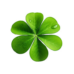 Vibrant Green FourLeaf Clover, Lucky Charm, Natures Gift