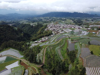 The beauty of the landscape Leek and vegetable plantations and architecture of the arrangement of...