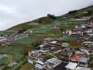 The beauty of the landscape Leek and vegetable plantations and architecture of the arrangement of...