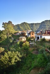 The lime green mustard fields in the hills of Nepal