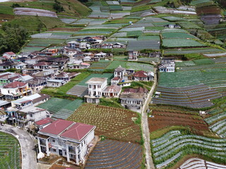 Fototapeta premium The beauty of the landscape Leek and vegetable plantations and architecture of the arrangement of terraced houses in the tourist area of ​​Nepal van Java, Butuh Hamlet, Magelang, indonesia