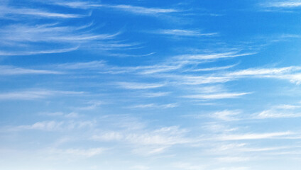Fototapeta premium blue sky with white clouds