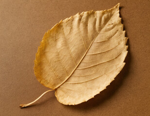 Dry Maple Leaf on Beige Background. Generated image
