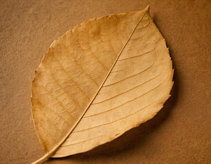 Dry Maple Leaf on Beige Background. Generated image