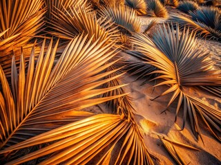 Aerial Drone Shot Dried Palm Tree Texture, High-Resolution Texture Image, Desert Palm Leaves,  Dried Palm Fronds Aerial View, Abstract Palm Texture