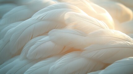 Obraz premium White feathers create a soft, delicate background, evoking feelings of peace, tranquility, and spiritual connection