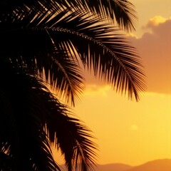 Golden sunset with palm leaves silhouetted in warm light
