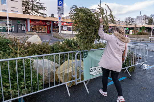 Point de collecte de sapins de No&euml;l destin&eacute;s &agrave; &ecirc;tre recycl&eacute;s, mis en place d&eacute;but janvier par la M&eacute;tropole de Rouen