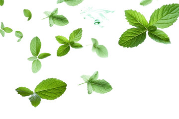 Naklejka premium A serene image of mint leaves falling gracefully through the air, captured mid-motion, isolated on white background