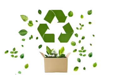 World environment day. 