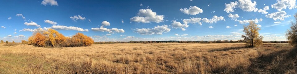 Fototapeta premium Autumn landscape with golden field, colorful forest, and a clear blue sky with scattered clouds