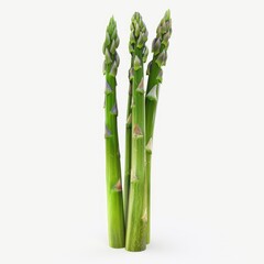 Obraz premium Photo of Asparagus Isolated on white background