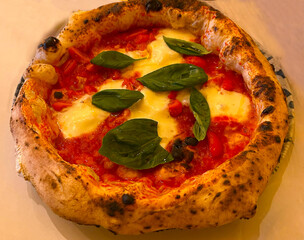 Pizza margherita