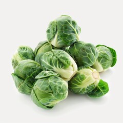 Fototapeta premium Photo of Brussels Isolated on white background