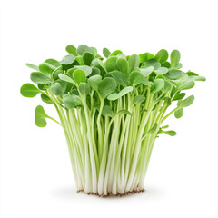 Healthy microgreens indoor garden photography showcasing nutritional benefits in natural light
