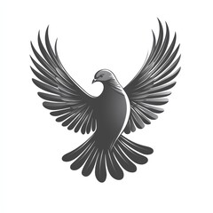 Obraz premium Majestic grey dove in flight, wings spread wide, isolated on white background.