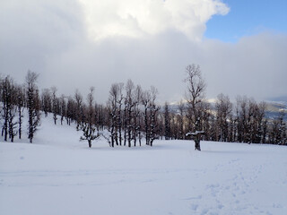 Winter snow mountain cabin panorama. Winter mountain snow forest tree. landscape mountain snow. Winter and cold Winter forest in Algeria, Jijel North Africa, snow covered trees and cold weather. Arabs