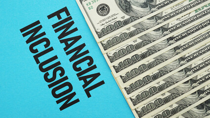 Financial inclusion is shown using the text as business concept