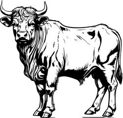 Buffalo Animal Vector Image