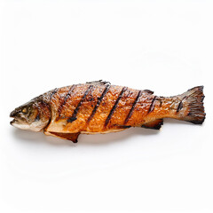 Generated imagepoisson, saumon , aliment, grill&eacute;, fruits de mer, p&ecirc;che, frais, repas, bon vivant, truite, sain, diners, d&eacute;licieux, cuisiner, calandres, cuisine, blanc, plat, frire, viande, mer, gros p