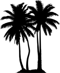 Palm Tree Silhouette Vector Image