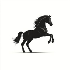 Majestic black stallion rearing, isolated on white.
