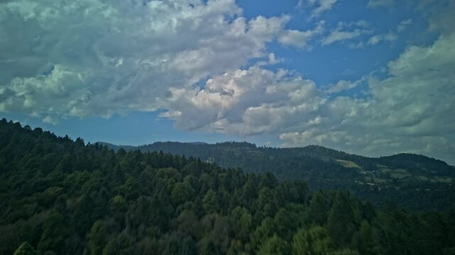 Toma de bosque con Dron en modo hyperlapse