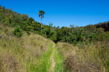 Obraz premium View of path towards Cachoeira do Urubu Rei (Vulture King Waterfall) at Serras Gerais - Almas, Tocantins