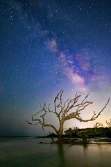 The Milky Way over Driftwood Beach on Jekyll Island, Georgia.
