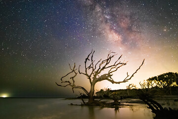 The Milky Way over Driftwood Beach on Jekyll Island, Georgia.