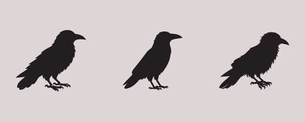 Fototapeta premium Crow silhouette bundle vector illustration