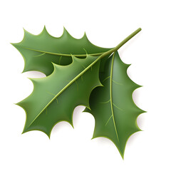 Fototapeta premium A detailed illustration of green holly leaves showcasing their distinct spiny edges and vibrant color.