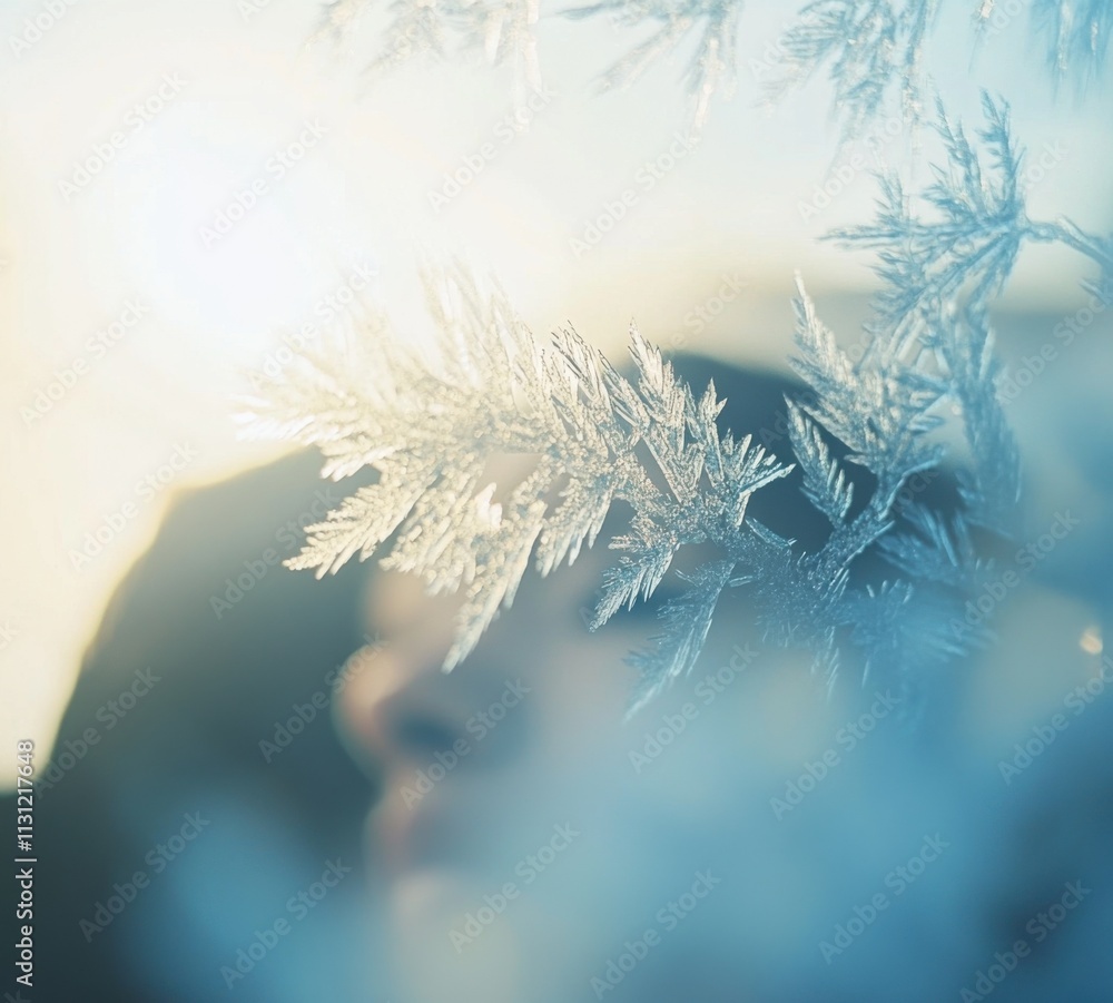 Poster A close-up of delicate frost on window glass, creating intricate patterns and shapes. The background is a soft blue with gentle sunlight filtering through the trees outside.