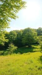 Obraz premium Vibrant summer landscape with lush green trees and meadows under a bright sun, bright, trees