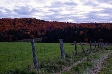Obraz premium autumn landscape with fence and sky