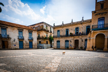 Obraz premium Plaza de la Catedral in Havana showcasing colonial architecture and vibrant city life Cuba