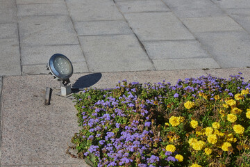 Small street lamp, illumination for a flower bed with yellow and purple flowers in a square or in a...