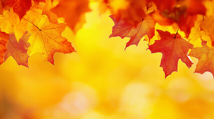 Fototapeta premium Natural bokeh background, autumn colors, shallow depth of field, organic patterns, photography, warm tones.