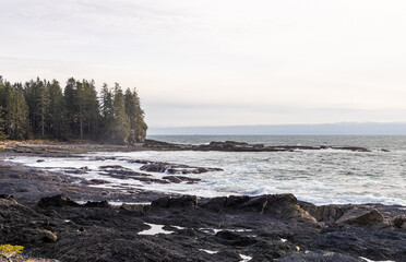 Scenic Coastal Landscape with Rock Formations and Forested Shoreline