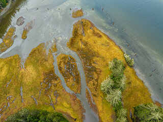Aerial View of Coastal Wetlands in Vancouver Island, British Columbia, Canada