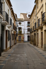 Fototapeta premium Quaint alleyway with traditional European architecture and cobblestone path