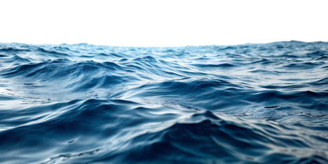 Sea water surface isolated on transparent background cutout. Isolated on white background.AI GENERATED