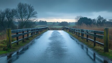 Marsh Bridge Reflection on Rainy Day Surrounded by Lush Green Landscape and Overcast Sky