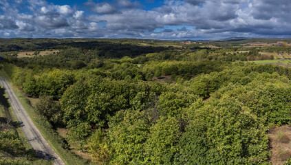 Field cultivated with common walnut (Juglans regia), Deil&atilde;o, Tr&aacute;s-os-Montes and Alto Douro, Portugal