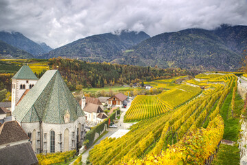 Autumn view of yellow and green vineyard with mountains in the background and cloudy sky