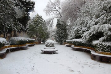 Winter in Baku city.