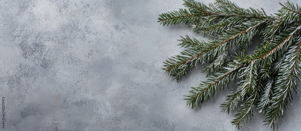 Poster Festive pine branch on gray background creating an elegant Christmas greeting card layout with empty space for personalization