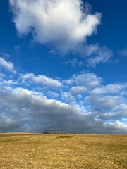 Fototapeta premium Unterstand für Schafe