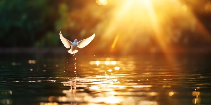 sacred baptism art, close-up religious art baptism in jordan river sunlight, dove as holy spirit, serene ambiance space for text on left