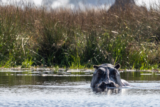 Botswana